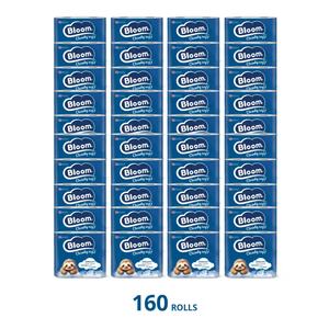 Bloom 2ply Toilet Tissue 160 rolls
