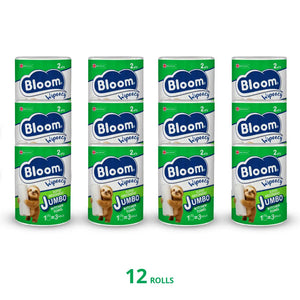 Bloom 2ply Kitchen Towel 12 Jumbo Roll