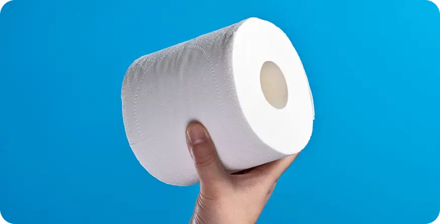 Rectangle 31 - toilet paper