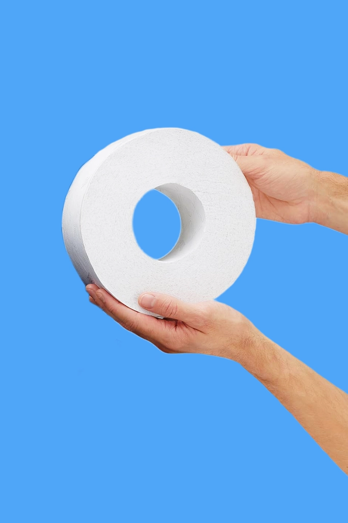 toilet rolls - toilet paper