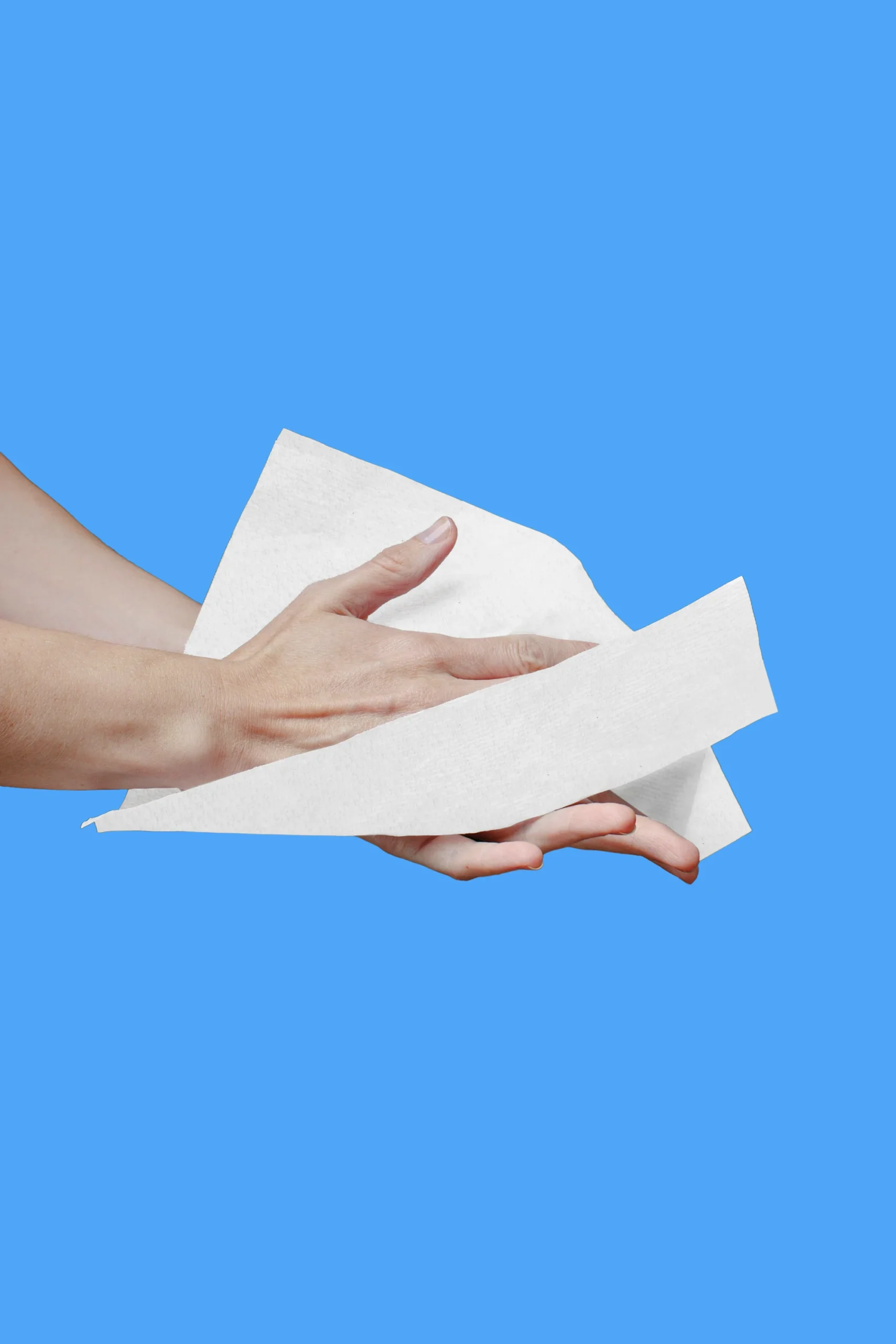 wiper rolls white scaled - toilet paper